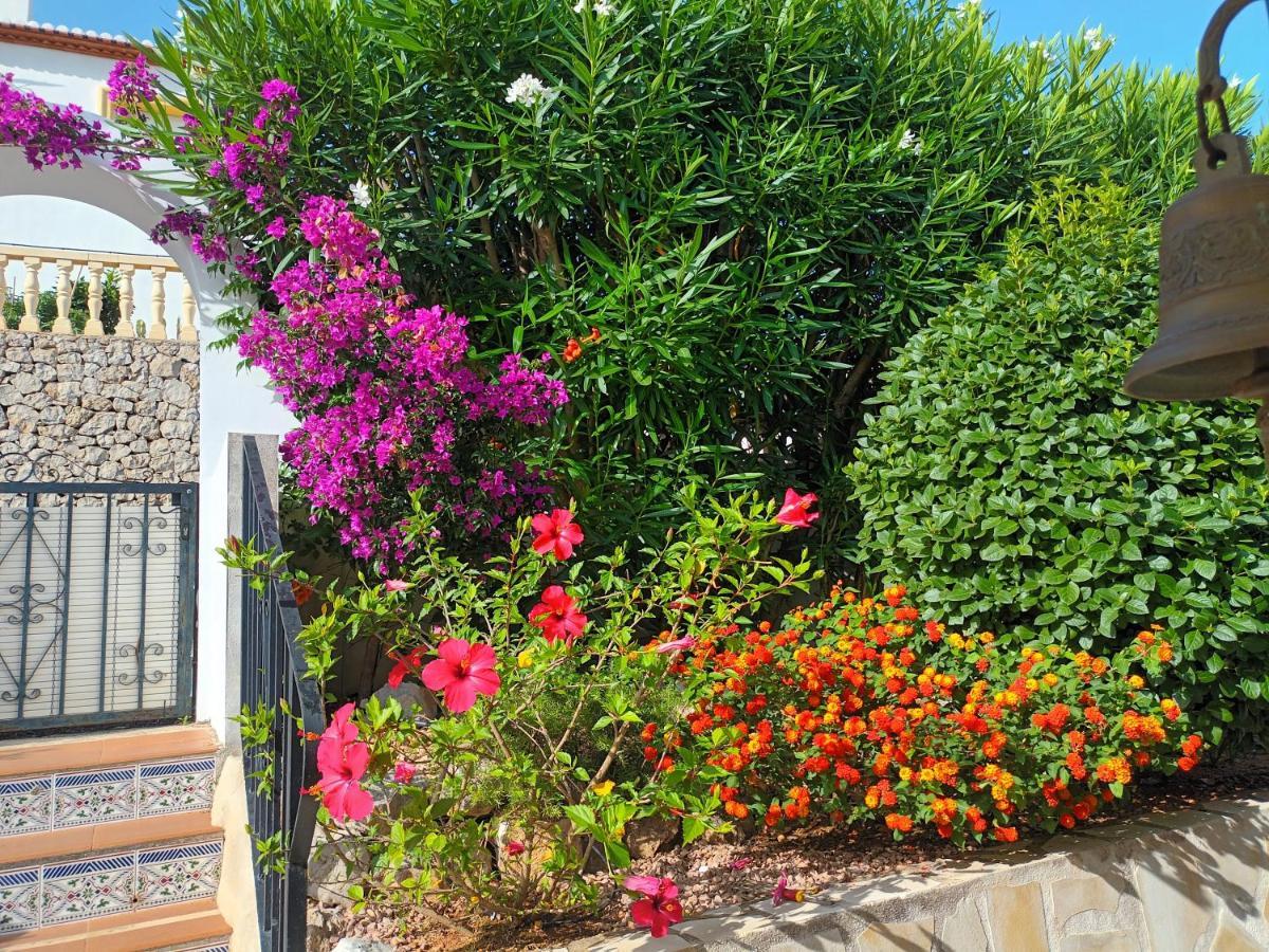Apartment Casa Jacaranda Orba